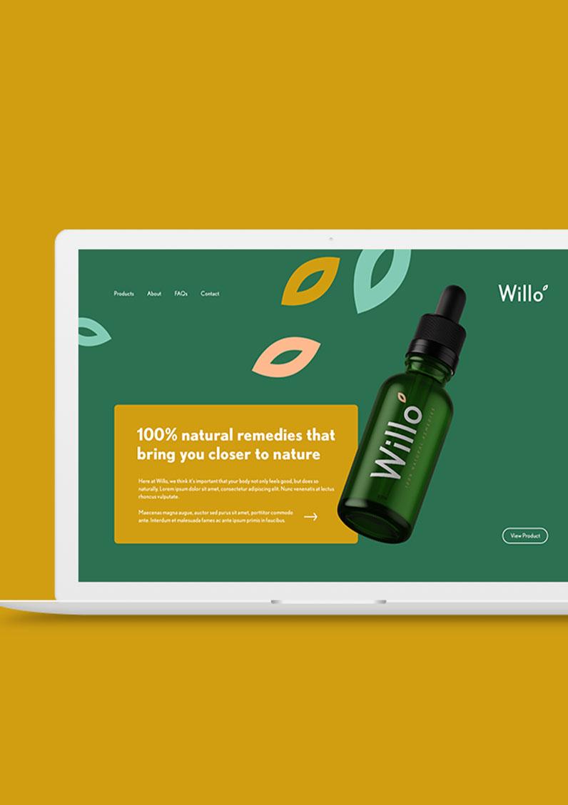 Willo website design concept