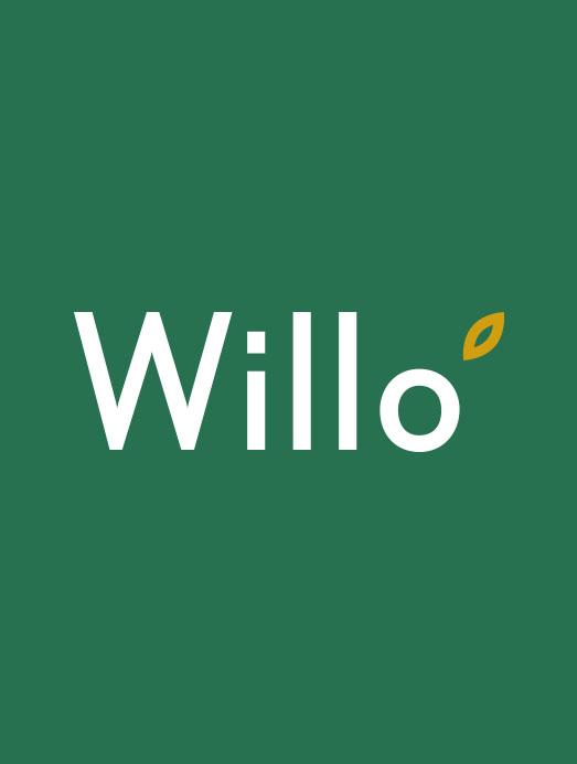 Willo logo concept